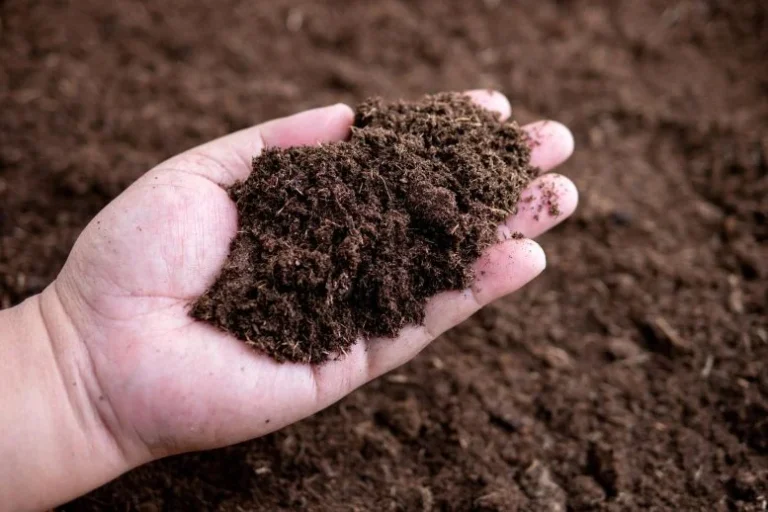 After 37 Years, the World’s Longest-Running Soil Warming Experiment Uncovers a Startling Climate Secret