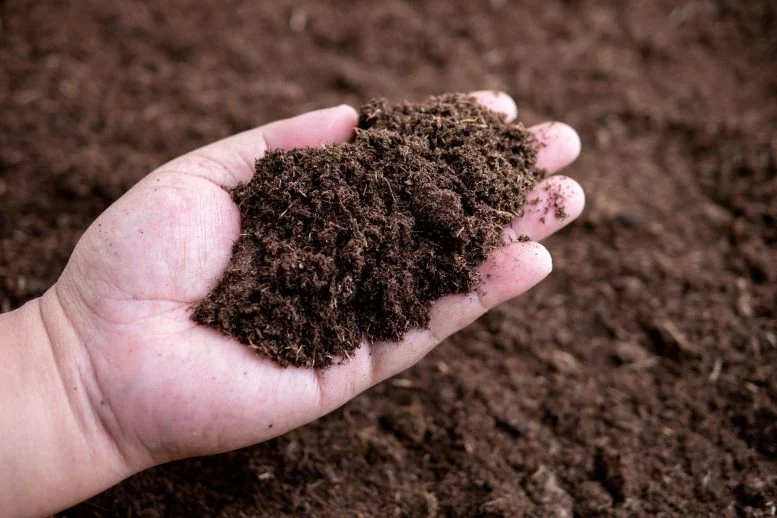 After 37 Years, the World’s Longest-Running Soil Warming Experiment Uncovers a Startling Climate Secret