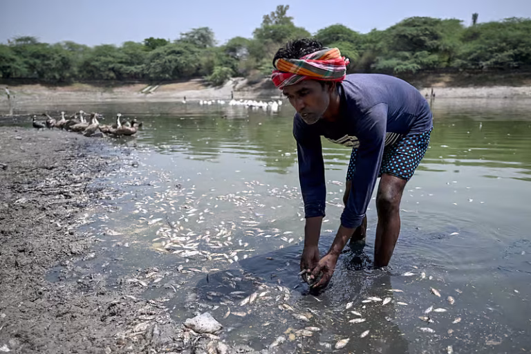 India heatwave kills over 100 in Andhra Pradesh, Telangana as power, health systems strain