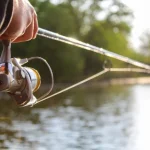 Your Favorite Fishing Spot Is Turning Brown – and the Fish Are Changing