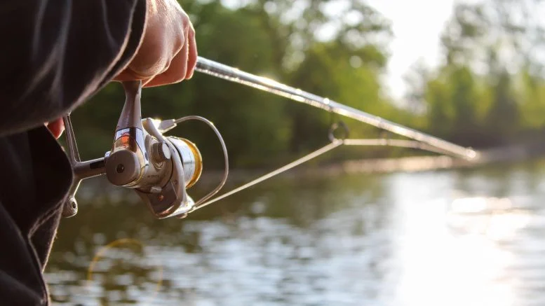 Your Favorite Fishing Spot Is Turning Brown – and the Fish Are Changing