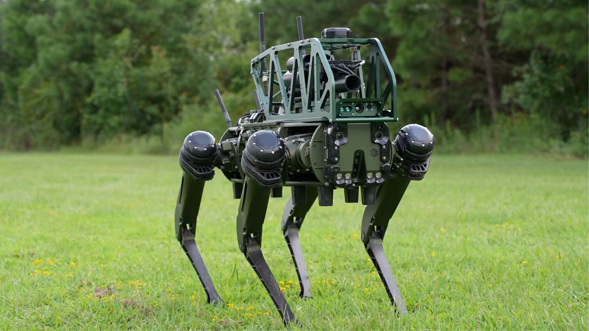 Robot dogs with shotguns, grenade launchers head to US urban warfare trials