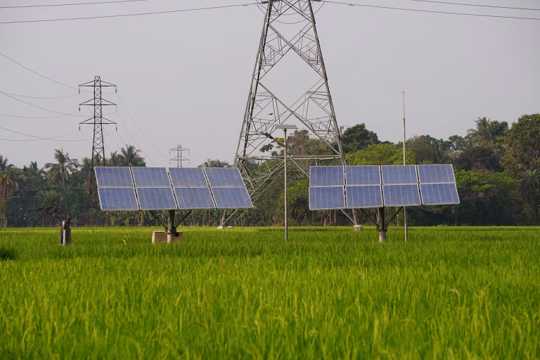 India loses 300 GWh renewable energy in 2026 first quarter due to transmission delays