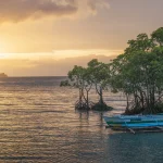 Mangroves clean up $8.7 billion of nitrogen pollution every year, study finds