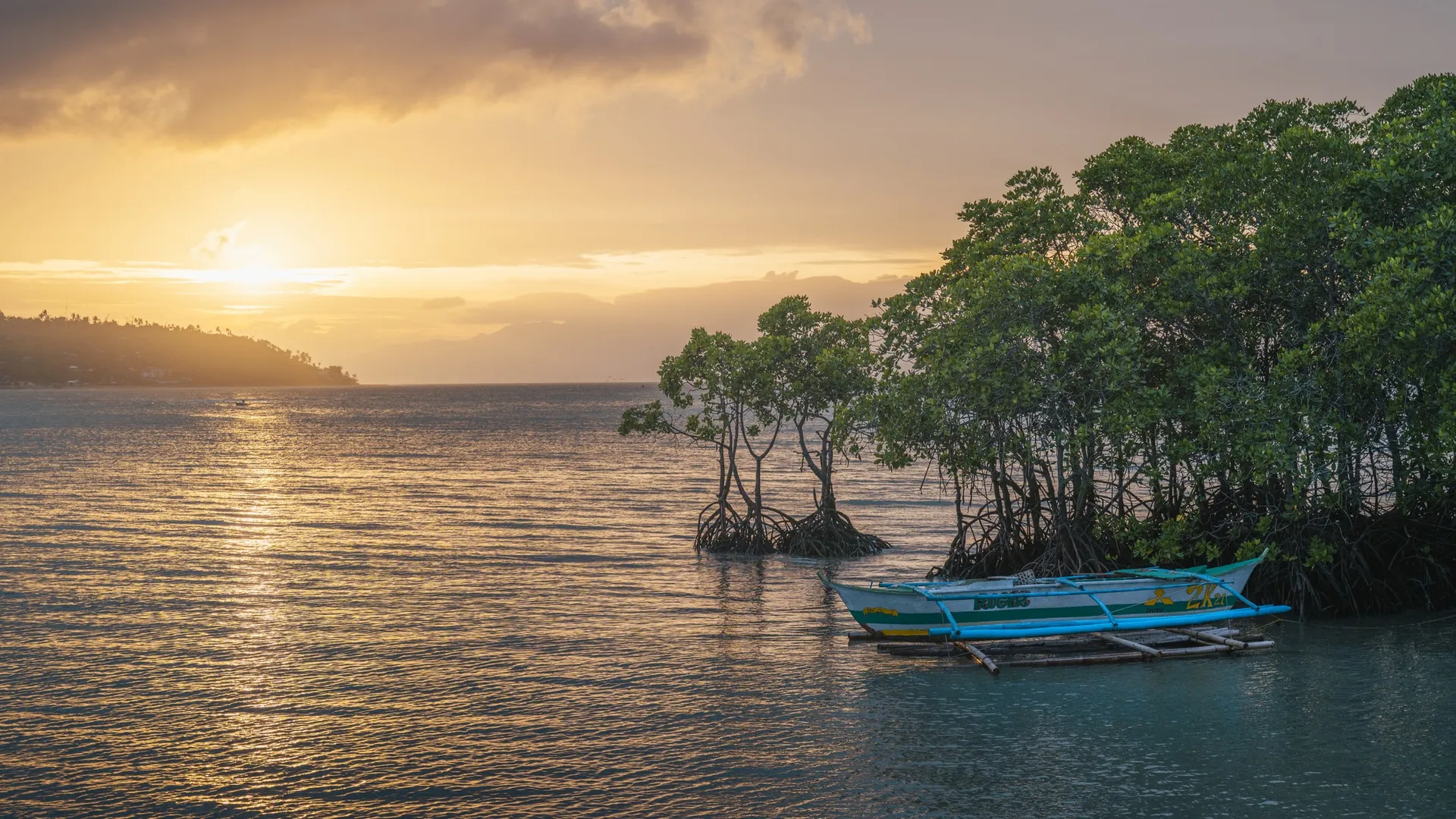 Mangroves clean up $8.7 billion of nitrogen pollution every year, study finds