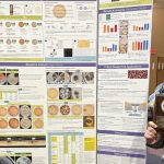 Fungi found on coconut husks can decompose plastic, sunscreen | University of Hawaiʻi System News