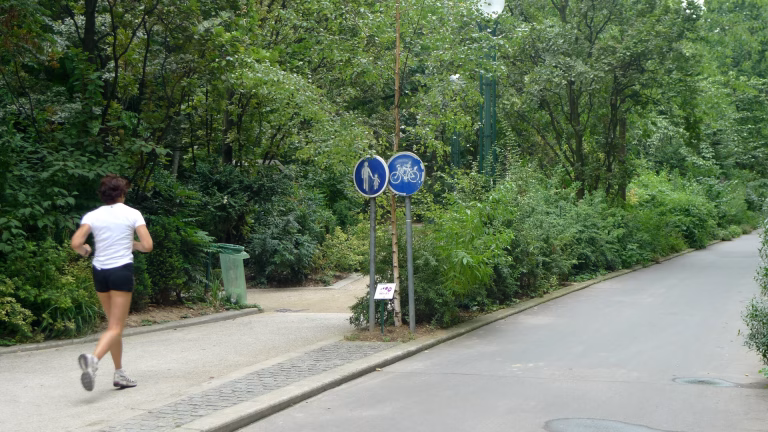 Végétalisation urbaine : penser la santé d’aujourd’hui, construire la résilience de demain
