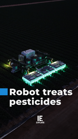 How this robot uses UV light to reduce pesticides on strawberries