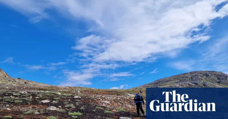 Scientists alarmed after two wildfires hit Greenland within a week