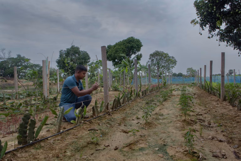 ‘I fear people will go to war over water’: as wells run dry, farmers struggle to survive in Bangladesh