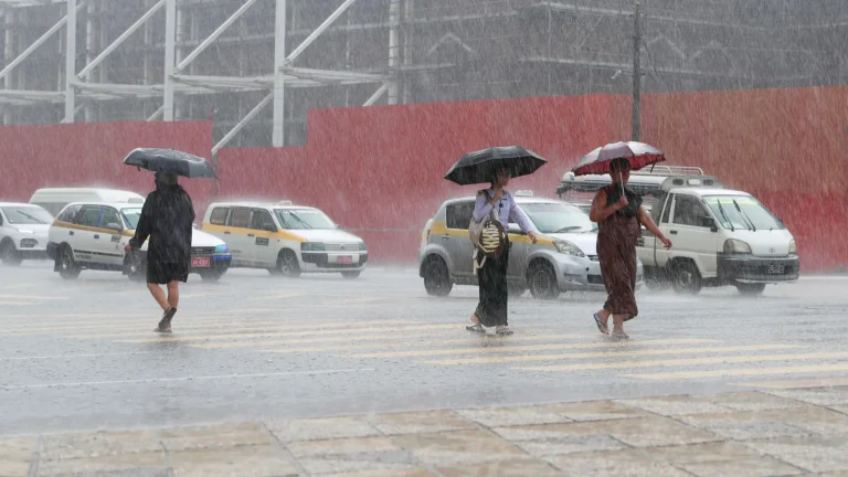 El Niño has begun, scientists say, and could bring record heat