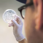 Fabrication de plastiques et de cosmétiques neutres pour le climat à l&rsquo;aide de bactéries