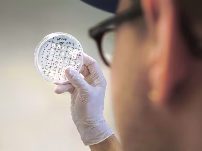 Fabrication de plastiques et de cosmétiques neutres pour le climat à l&rsquo;aide de bactéries