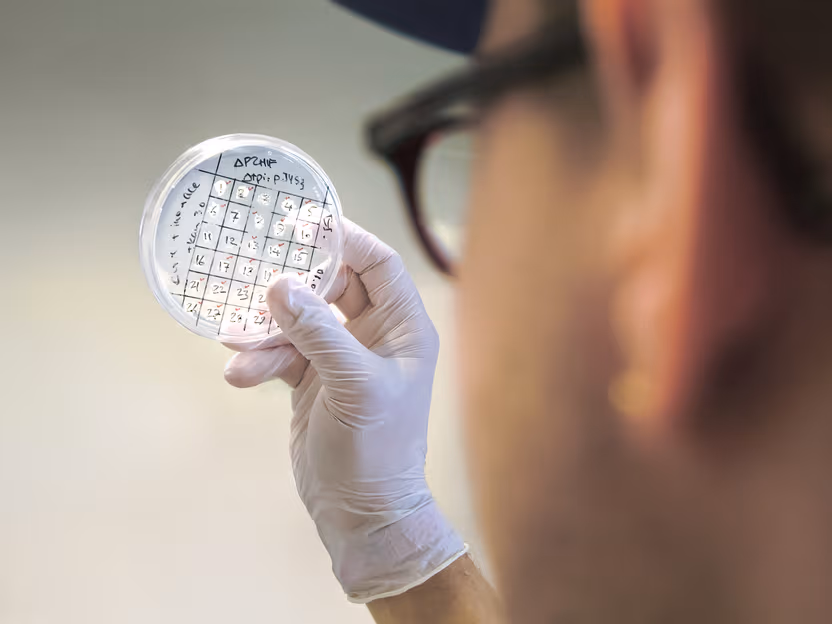 Fabrication de plastiques et de cosmétiques neutres pour le climat à l&rsquo;aide de bactéries
