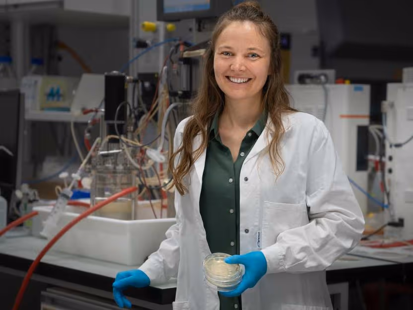 Usines bactériennes : la clé d&rsquo;une chimie respectueuse du climat
