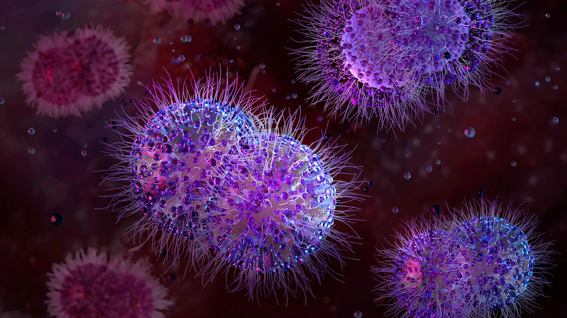 Scientists infected a &lsquo;vagina on a chip&rsquo; with gonorrhea — then cured it with a new antibiotic found by AI