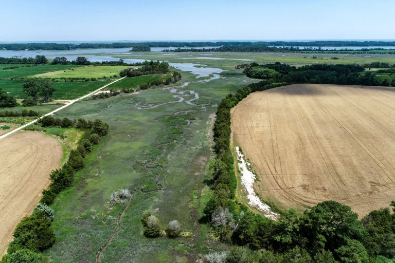 Sea Level Rise Is Swallowing Farmland at Alarming Rates