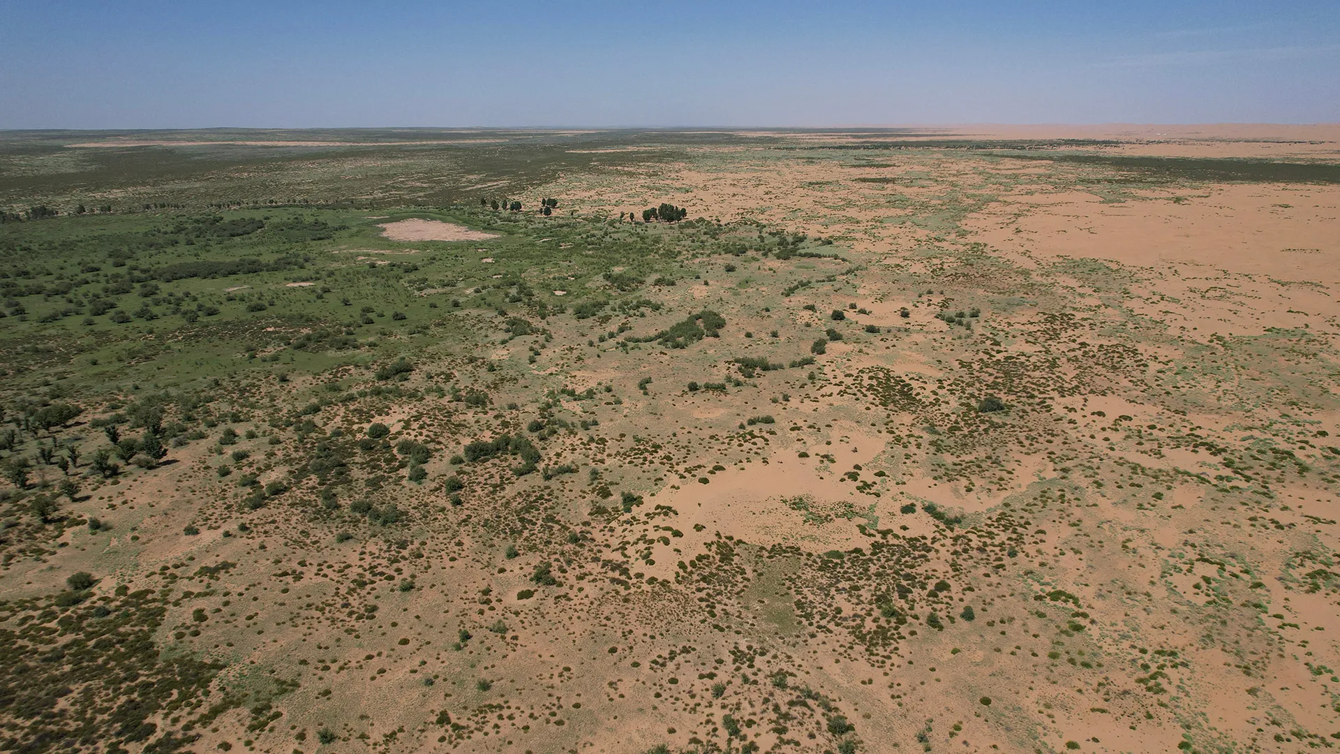 66 billion trees have been planted in China&rsquo;s Great Green Wall — and they appear to be growing faster than natural forests