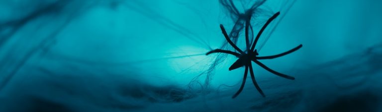 Soie d’araignée synthétique : du laboratoire à l’industrialisation | Techniques de l&rsquo;Ingénieur