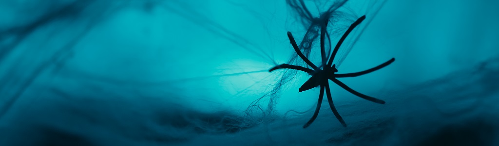 Soie d’araignée synthétique : du laboratoire à l’industrialisation | Techniques de l&rsquo;Ingénieur