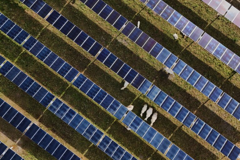 Solar power hits new milestones in the US even as Trump boosts coal over clean energy