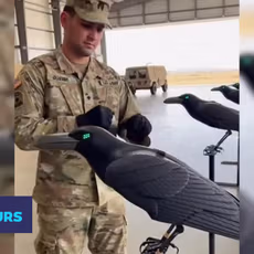 Une arme sans missile, ni munition : le « Rapid Destroyer » britannique grille les drones avec des ondes | TF1 Info