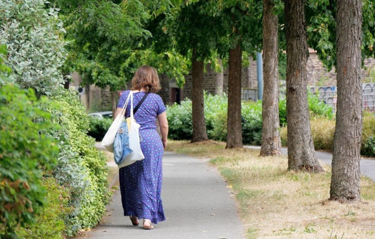 Fraichoù, l’application qui propose des itinéraires pour marcher à l’ombre