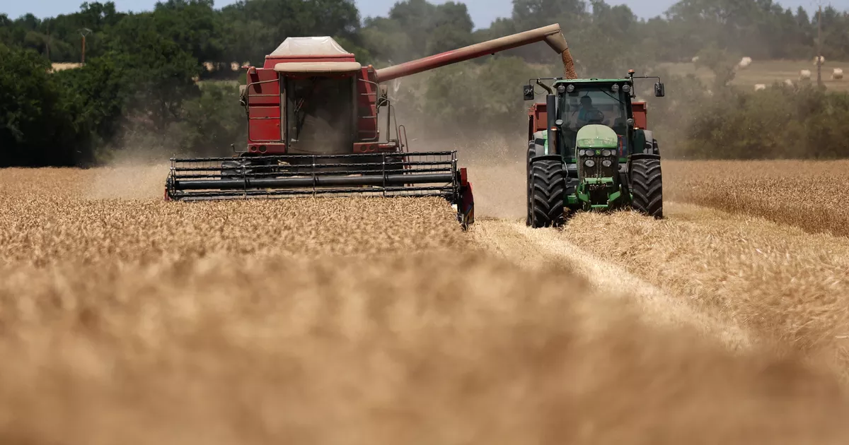 «Ce qui nous inquiète, c’est la pérennité de l’agriculture française» : la FNSEA alerte sur les effets de la canicule