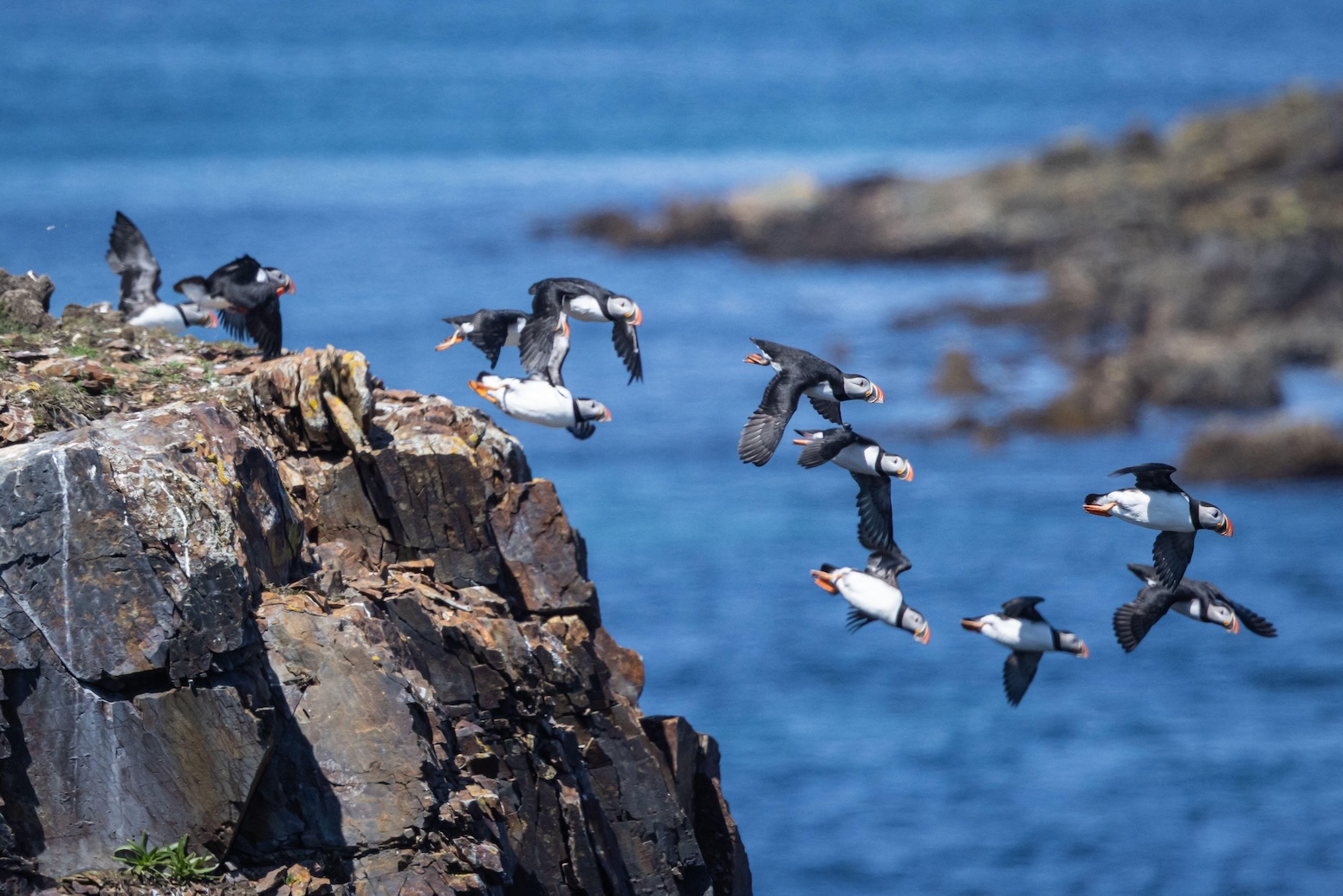 World falling short on 22 of 23 nature targets for 2030, says draft UN report – Carbon Brief