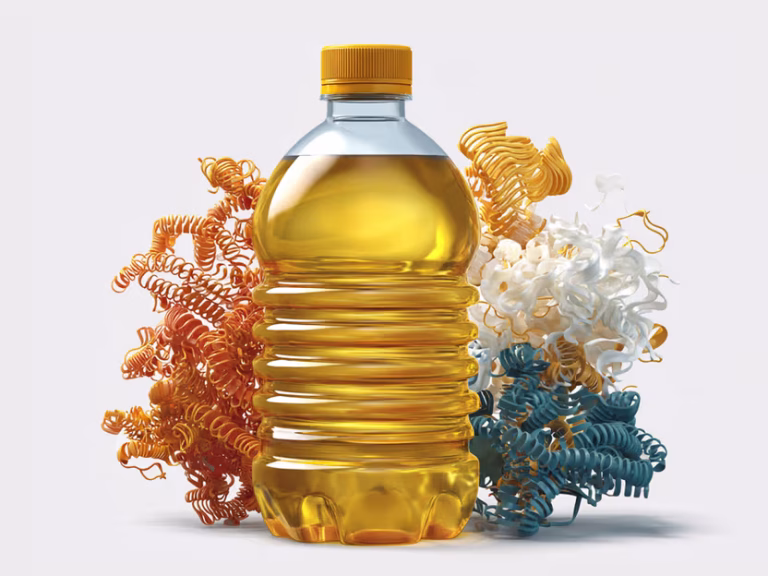 De l&rsquo;huile de palme aux enzymes de synthèse : des chercheurs reprogramment les cellules de levure