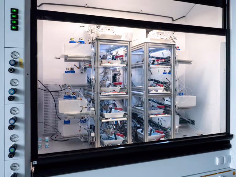 Produits chimiques essentiels neutres en carbone