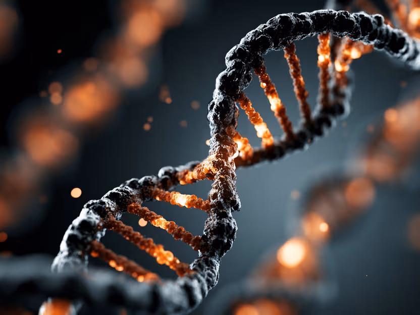 Une nouvelle méthode CRISPR permet de contrôler la production de protéines dans les cellules