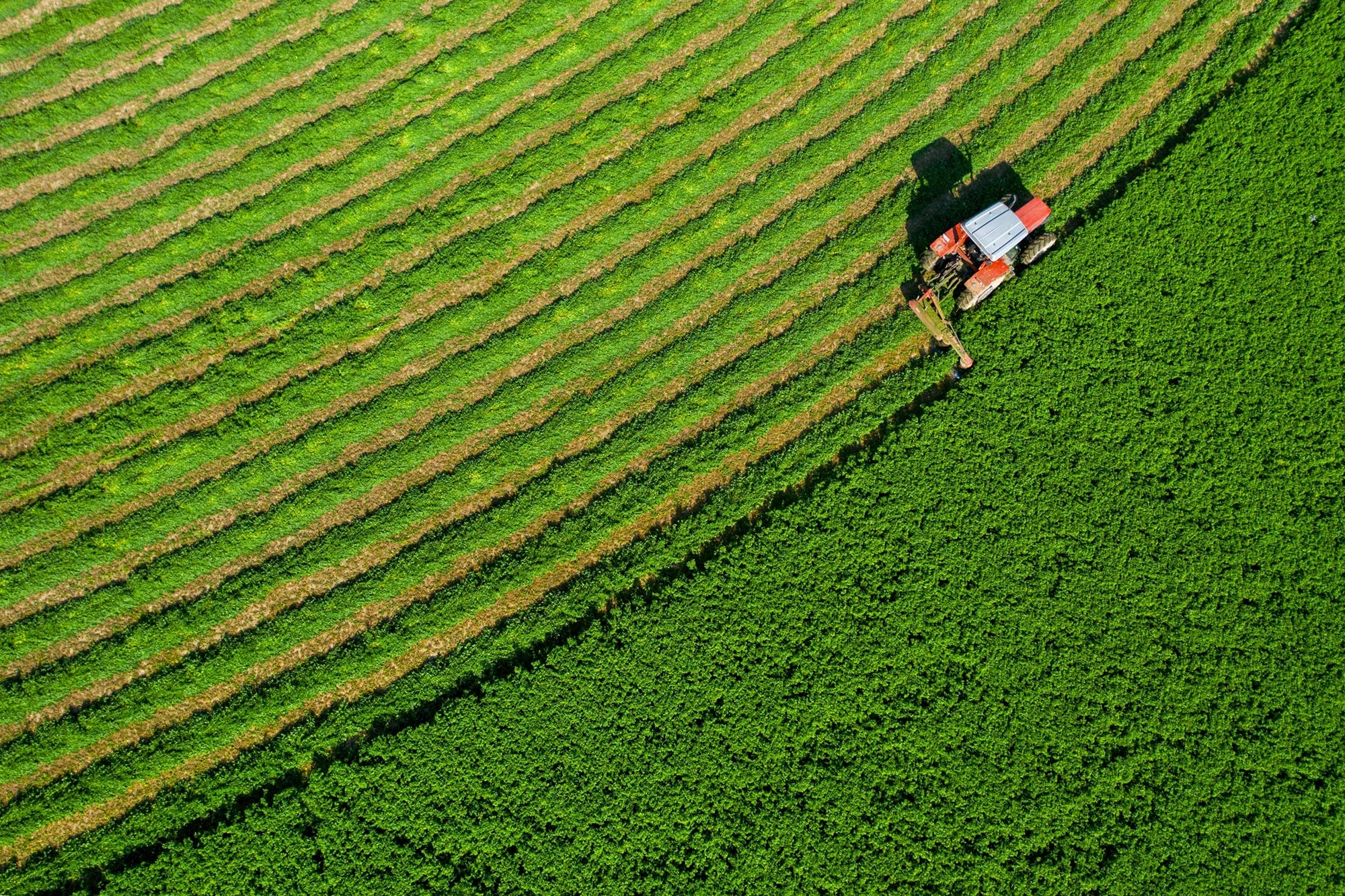Healthier Eating Could Trigger a $630 Billion Farming Shake-Up