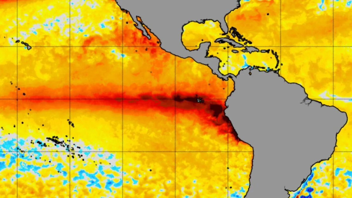 This El Niño Is on Track to Become the Strongest on Record by a ‘Mind-Blowing Margin’