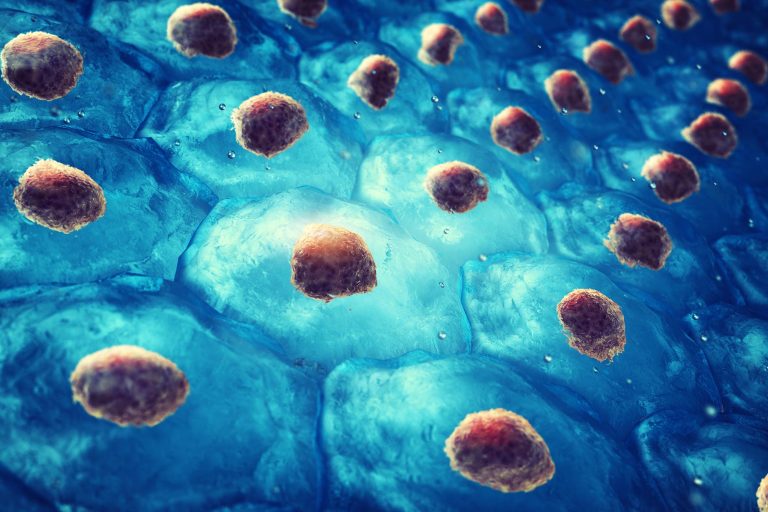 Breakthrough Diabetes Treatment Reprograms the Immune System Instead of Replacing Insulin