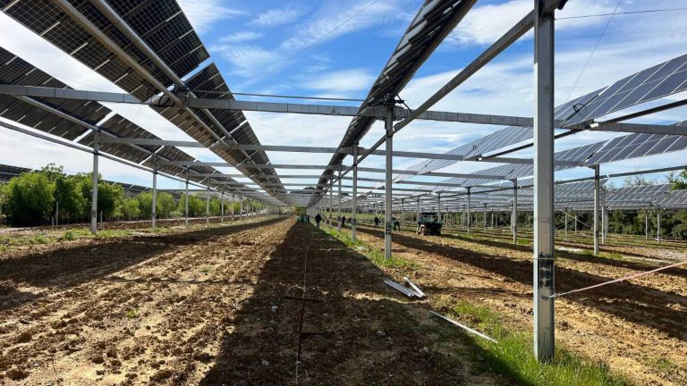 Projet agrivoltaïque de Sun&rsquo;Agri à Servian