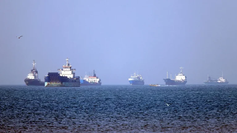 Biological &lsquo;superspreader&rsquo; event could be imminent as more than 1,000 ships idle in the Strait of Hormuz, scientists warn