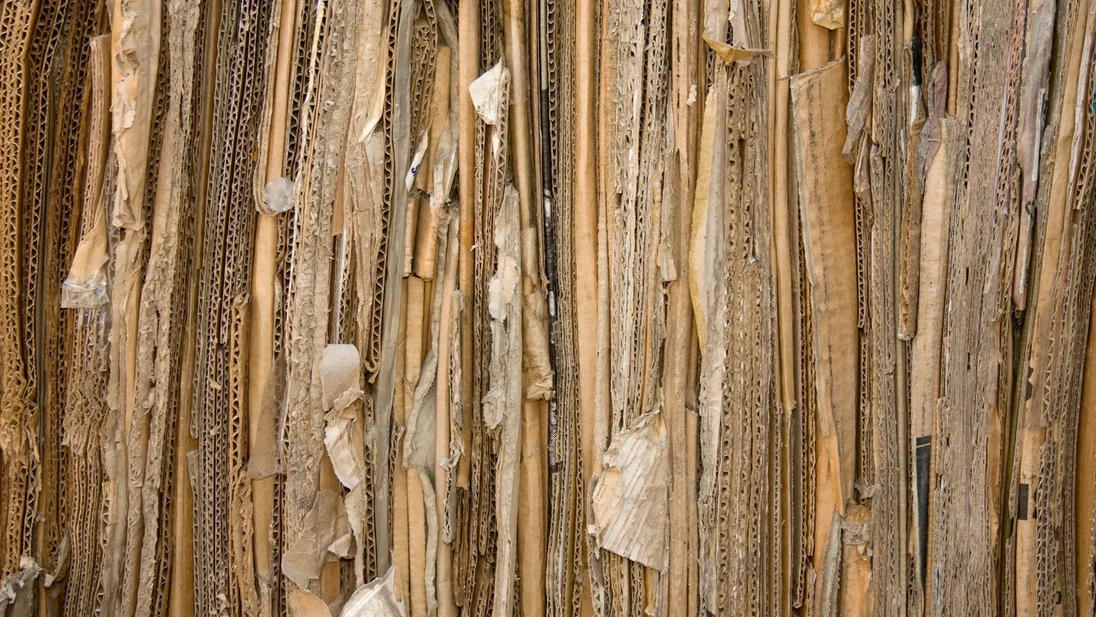Il est désormais courtisé par le luxe ou l&rsquo;aéro: en voulant fabriquer sa propre planche de surf, cet ingénieur a inventé un matériau à base de carton pour remplacer le plastique