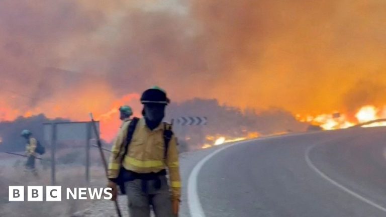 At least 12 dead and 23 missing in wildfire in southern Spain