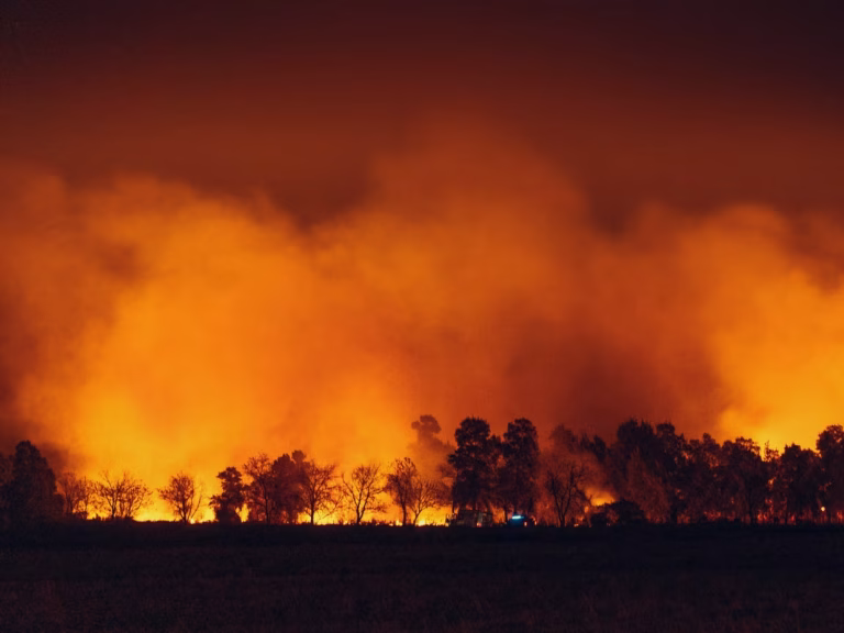 « Plus d’hectares brûlés que sur toute la saison 2025 »: un été déjà hors norme en Europe entre feux de forêt et canicule