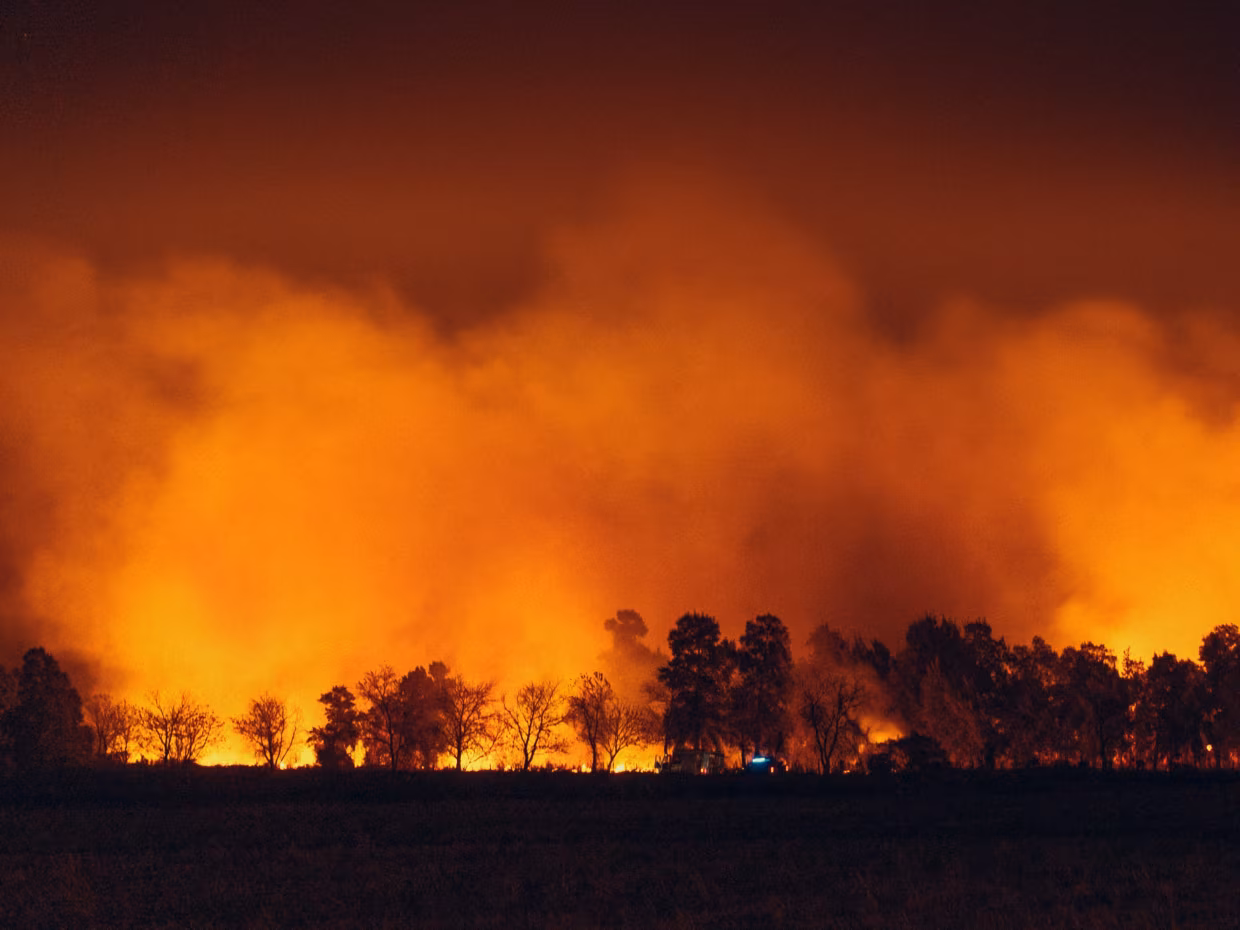 « Plus d’hectares brûlés que sur toute la saison 2025 »: un été déjà hors norme en Europe entre feux de forêt et canicule