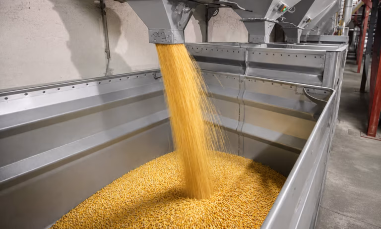 Le coût d&rsquo;une alimentation saine bondit de 25% en cinq ans