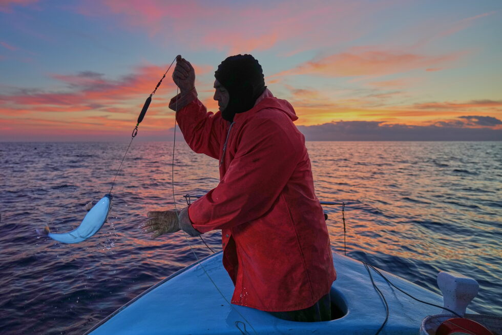 The Mediterranean&rsquo;s warming waters are drawing hundreds of invasive species
