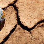 Vagues de chaleur à répétition : quel impact sur les sols et la biodiversité ? | Techniques de l&rsquo;Ingénieur
