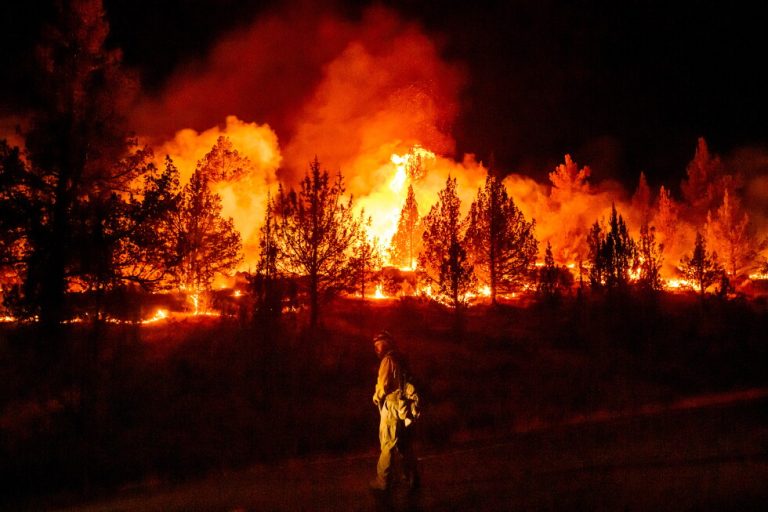 Wildfires are more extreme in Europe and North America, but global burning is oddly decreasing