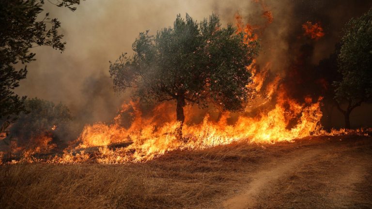 Western Europe lived through hottest June and July ever recorded