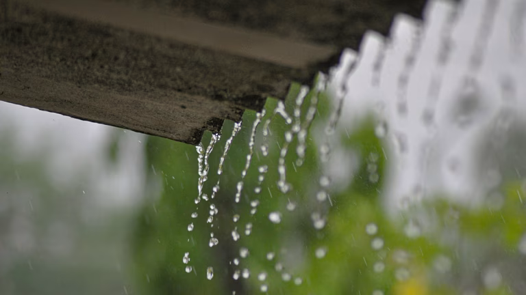 L&rsquo;eau de pluie des toits pourrait réduire les canicules et la climatisation