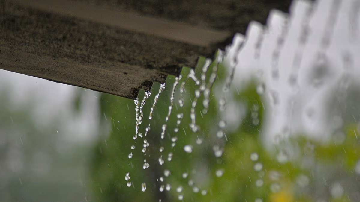L&rsquo;eau de pluie des toits pourrait réduire les canicules et la climatisation