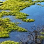 China&rsquo;s landmark Ecological and Environmental Code takes effect to drive green modernization
