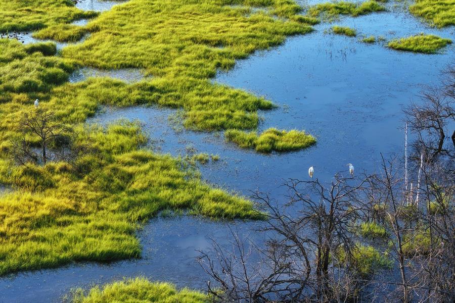 China&rsquo;s landmark Ecological and Environmental Code takes effect to drive green modernization